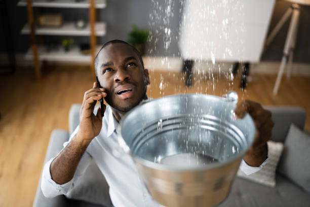 Best Flood restoration services  in Lexington, TN