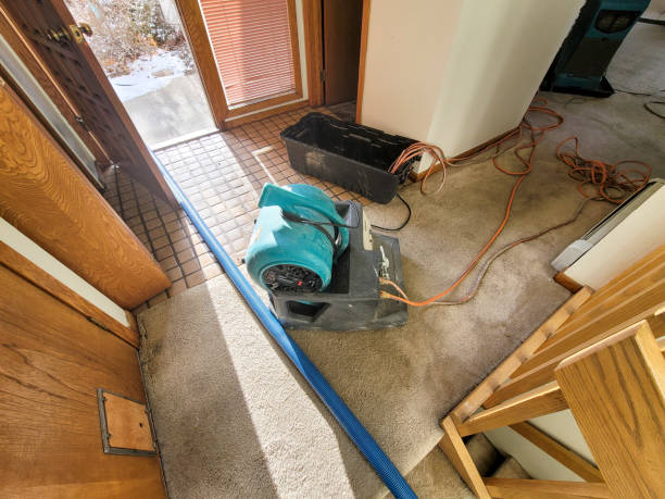 Best Ceiling water damage repair  in Lexington, TN