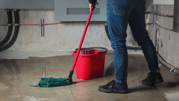 Best Professional water damage repair  in Lexington, TN