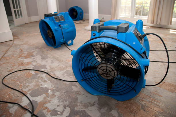 Best Fire Damage Restoration  in Lexington, TN