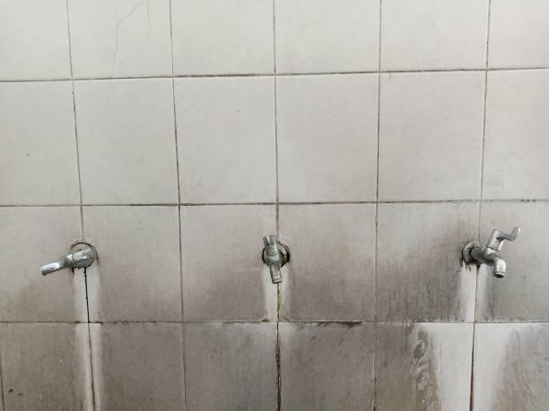 Best Flood damage cleanup  in Lexington, TN