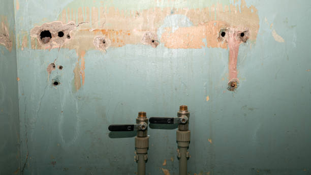 Best Water damage cleanup near me  in Lexington, TN