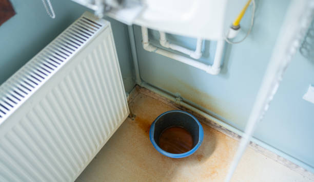 Best Carpet water damage restoration  in Lexington, TN