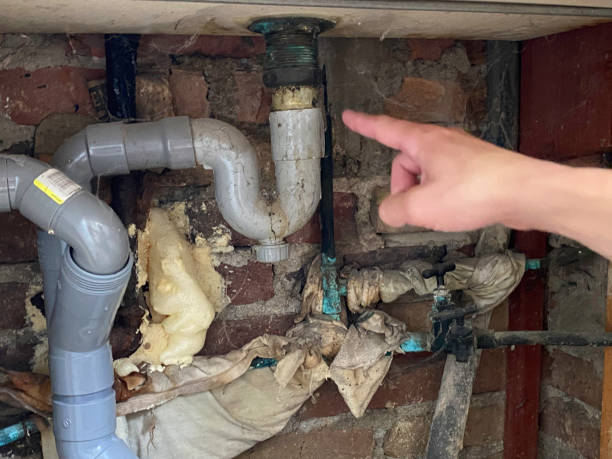 Best Water damage restoration process  in Lexington, TN