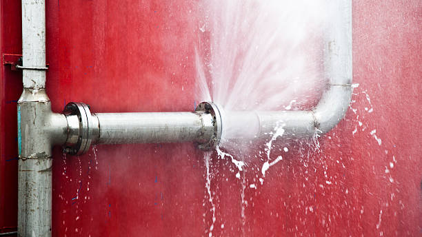 Best Ceiling water damage repair  in Lexington, TN